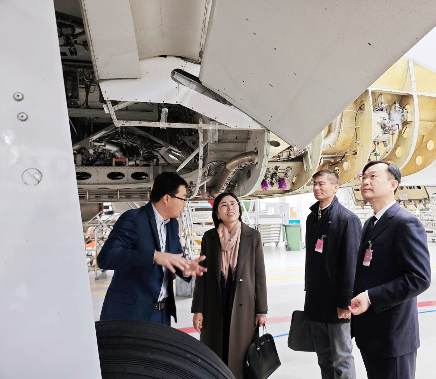 ����֮��(8590���ٷ���֤)��¼���